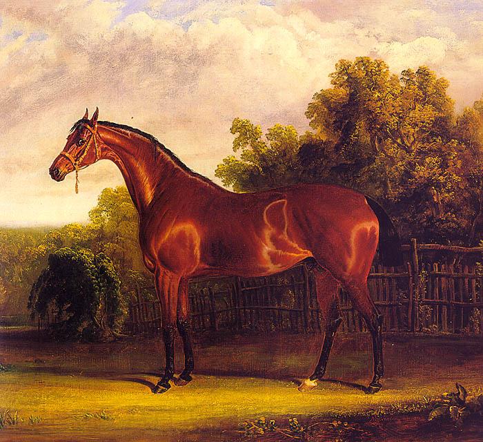 John F Herring Negotiator, the Bay Horse in a Landscape Norge oil painting art